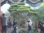 DSC05206