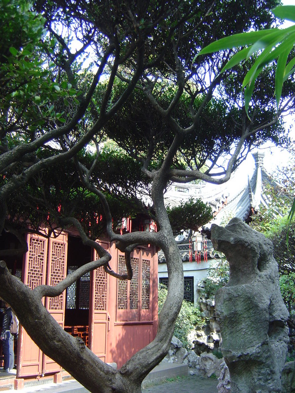 DSC05209