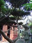 DSC05209