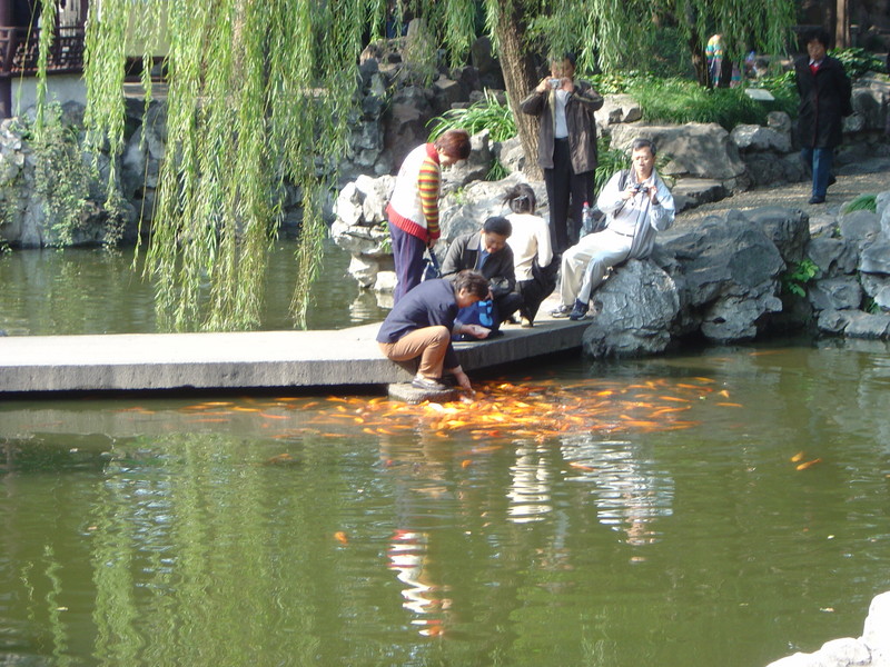 DSC05213