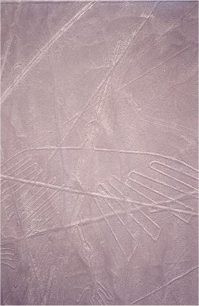 Image72