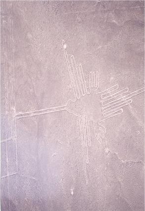 Image73