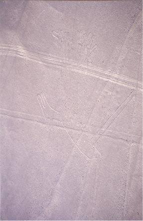 Image91