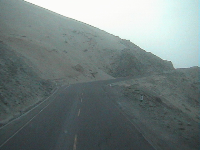 DSC00428